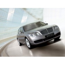 Силиконовая тонировка на статике для Bentley Flying Spur седан, 1 поколение (09.2005 - 07.2013)