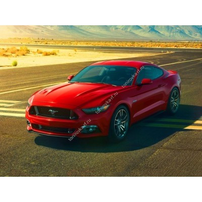 Купить силиконовую тонировку на статике для Ford Mustang 6 2014-2020 г можно в магазине Тонировка-РФ.ру