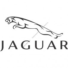 Съемная силиконовая тонировка для Jaguar