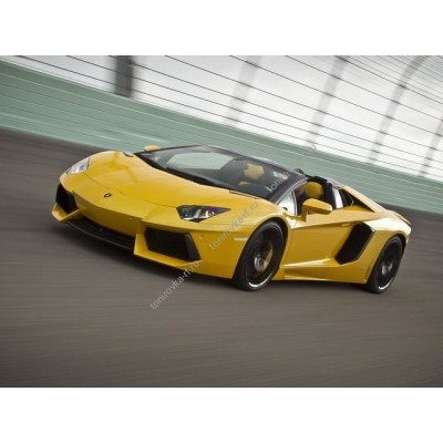 Купить силиконовую тонировку на статике для Lamborghini Aventador открытый кузов, 1 поколение (12.2012 - н.в.) можно в магазине Тонировка-РФ.ру