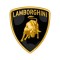Съемная тонировка для Lamborghini