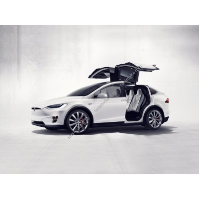 Купить силиконовую тонировку на статике для Tesla Model X можно в магазине Тонировка-РФ.ру