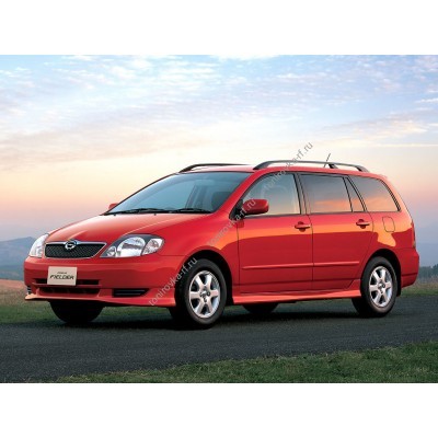 Купить силиконовую тонировку на статике для Toyota Corolla Fielder универсал, 1 поколение, E120 (2000 - 2006) можно в магазине Тонировка-РФ.ру
