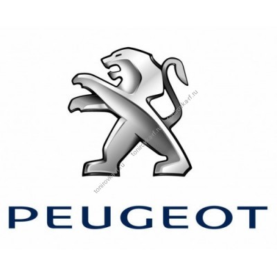 Съемная силиконовая тонировка для Peugeot