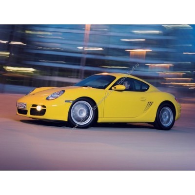 Купить силиконовую тонировку на статике для Porsche Cayman 1 поколение, 987 (09.2004 - 2013) можно в магазине Тонировка-РФ.ру