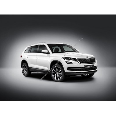 Купить силиконовую тонировку на статике для Skoda Kodiaq 1 поколение (09.2016 - н.в.) можно в магазине Тонировка-РФ.ру