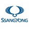 Комплект съемной силиконовой тонировки для Ssang Yong